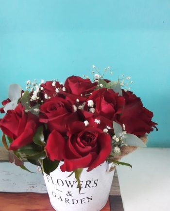 12 Red Roses in a Container