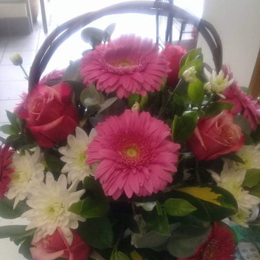 Carnations for a Beautiful Girl