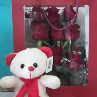9 Red Roses in a Bag with Teddy