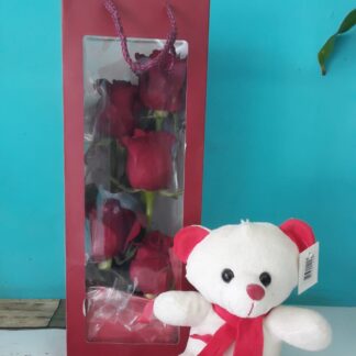 5 Red Roses in a Bag with Teddy